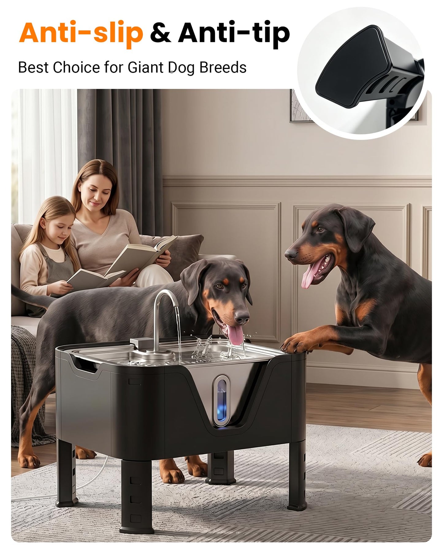 4.75Gal Elevated Large Dog Water Fountain