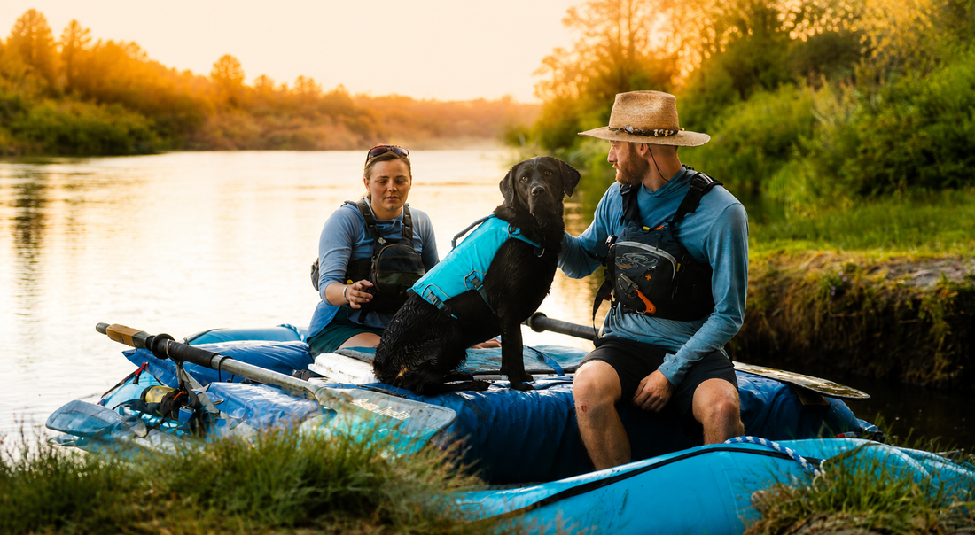 Adventure-Ready Pets: How to Make Outdoor Days Safer, Calmer, and More Enjoyable