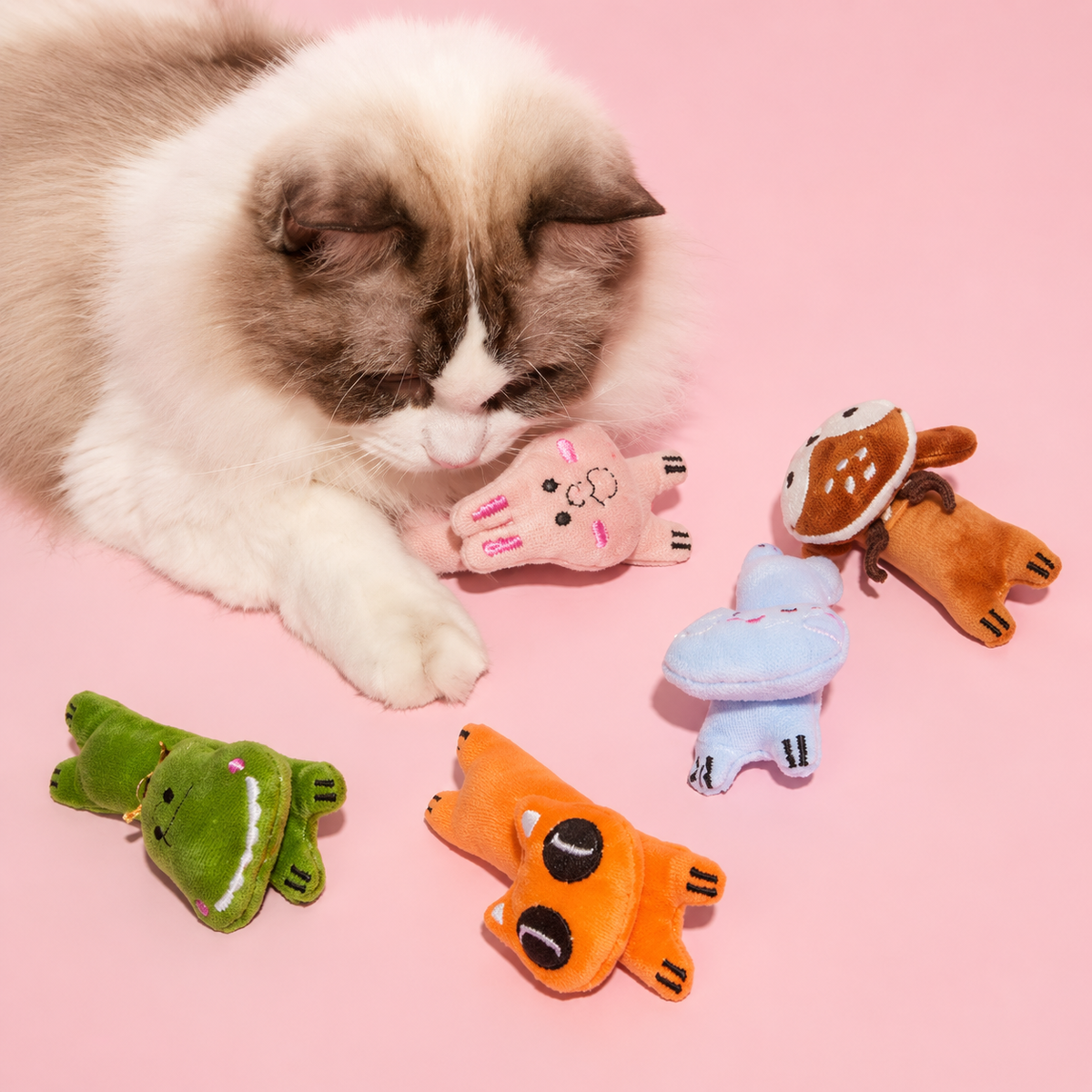 Pet Toys