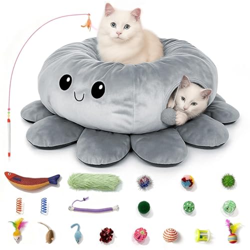Pet Beds