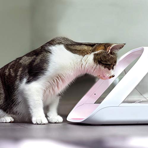 Microchip Controlled Pet Feeder