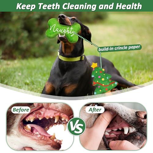 Durable Chew Dog Toys for Pets