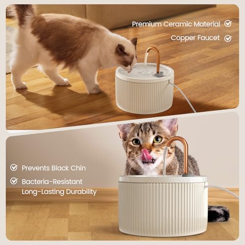 Automatic Cat Water Fountain Ultra Quiet Pump
