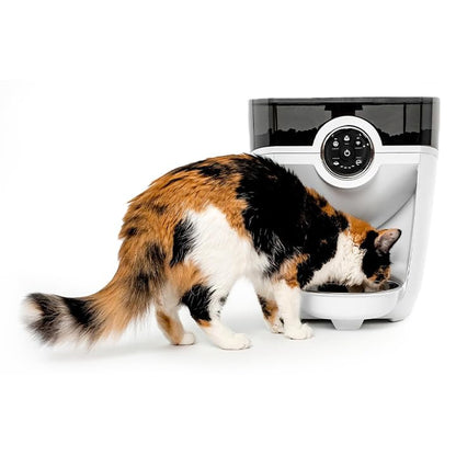 Smart Automatic Pet Feeder WiFi App Control