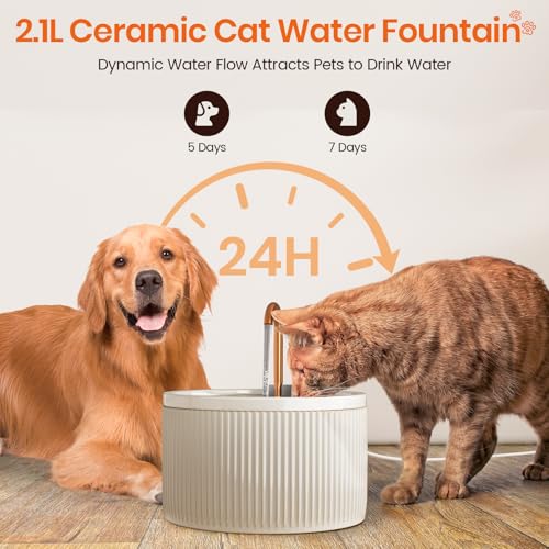 Automatic Cat Water Fountain Ultra Quiet Pump