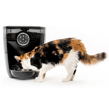 Smart Automatic Pet Feeder WiFi App Control