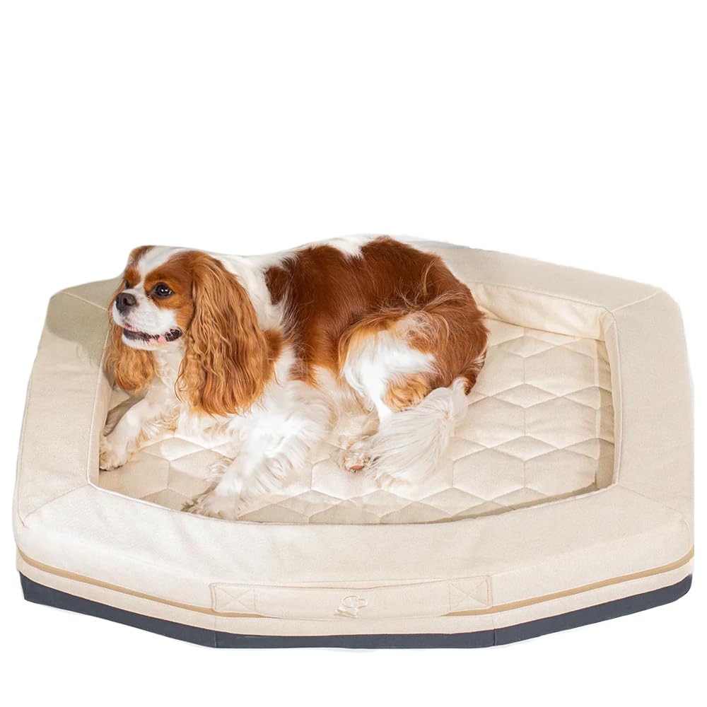Orthopedic Memory Foam Dog Bed Bolster Washable Non Slip