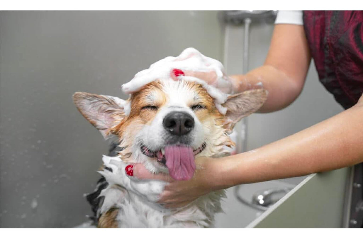 Baking Soda Pet Shampoo Fresh Cotton Odor Control