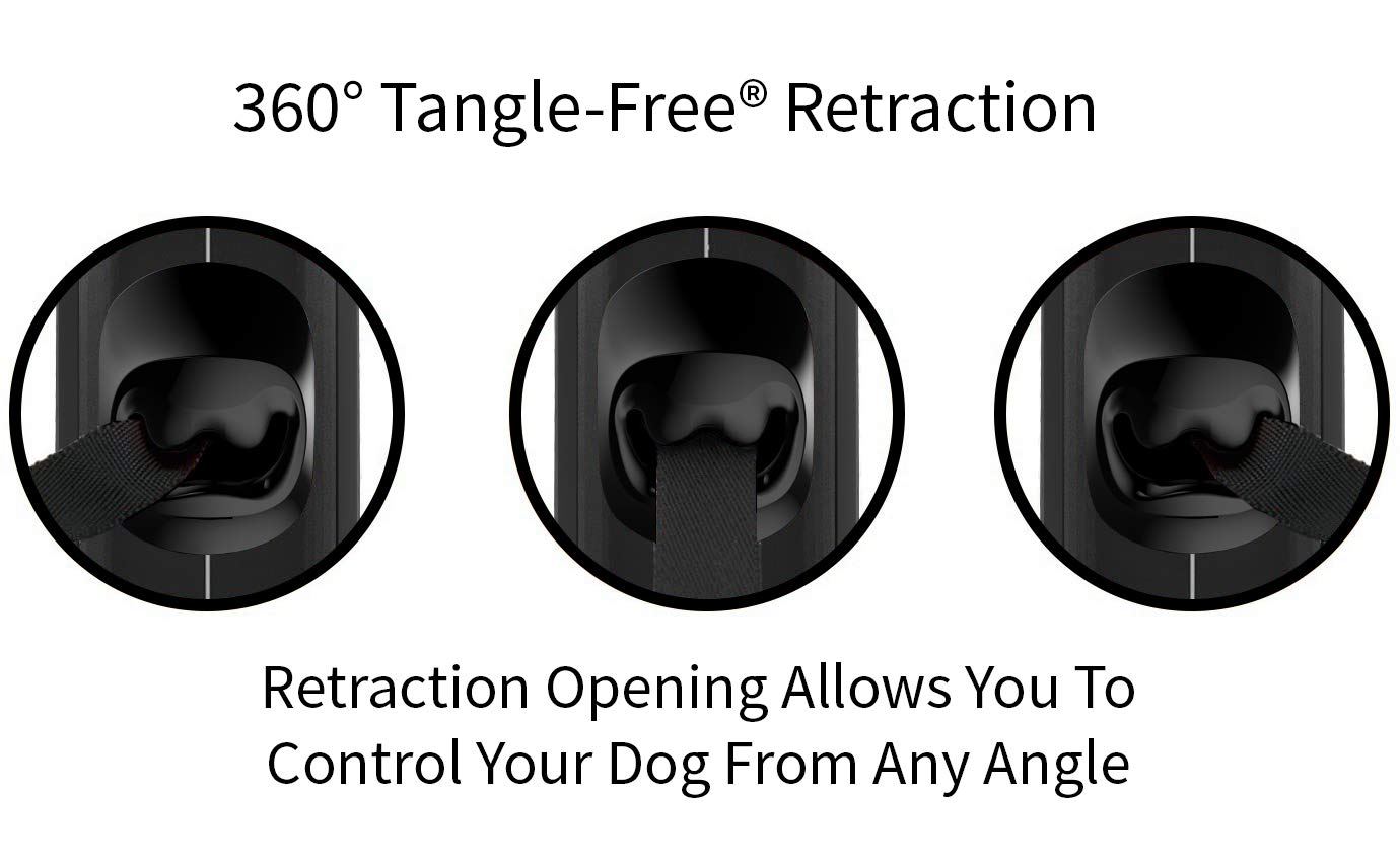 Extra Large Automatic Dog Feeder