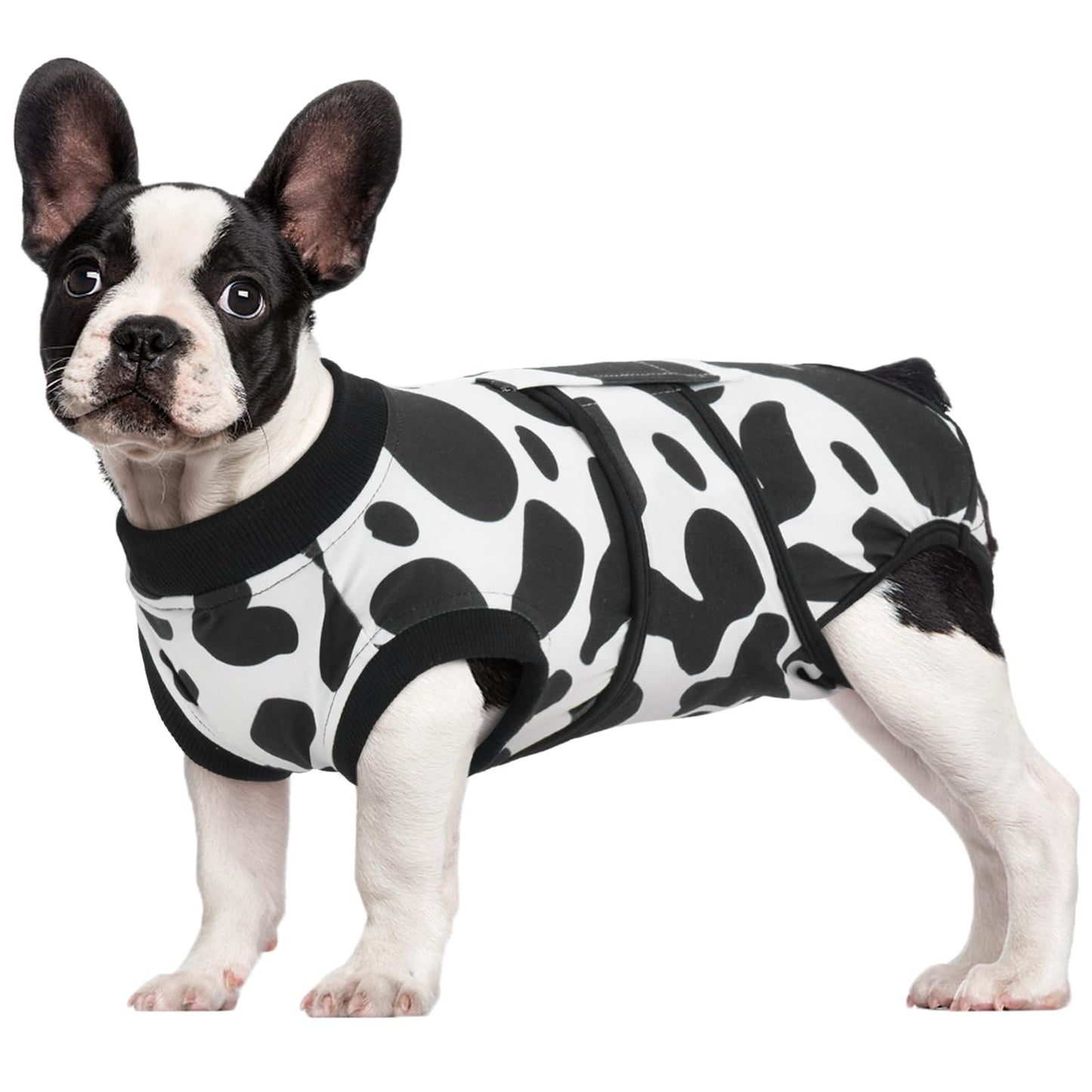 Dog Recovery Suit Post Surgery Anti Licking Onesie