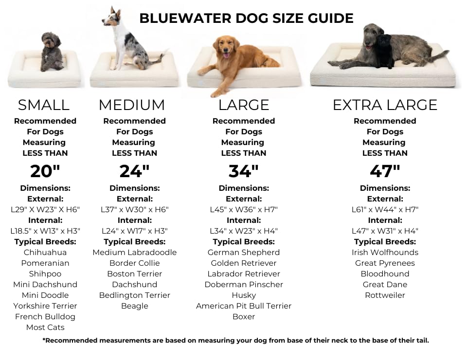 Orthopedic Memory Foam Dog Bed Boucle Washable Waterproof