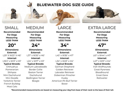 Orthopedic Memory Foam Dog Bed Boucle Washable Waterproof