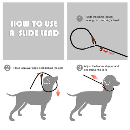 Reflective Slip Lead Dog Leash No Pull Training Rope