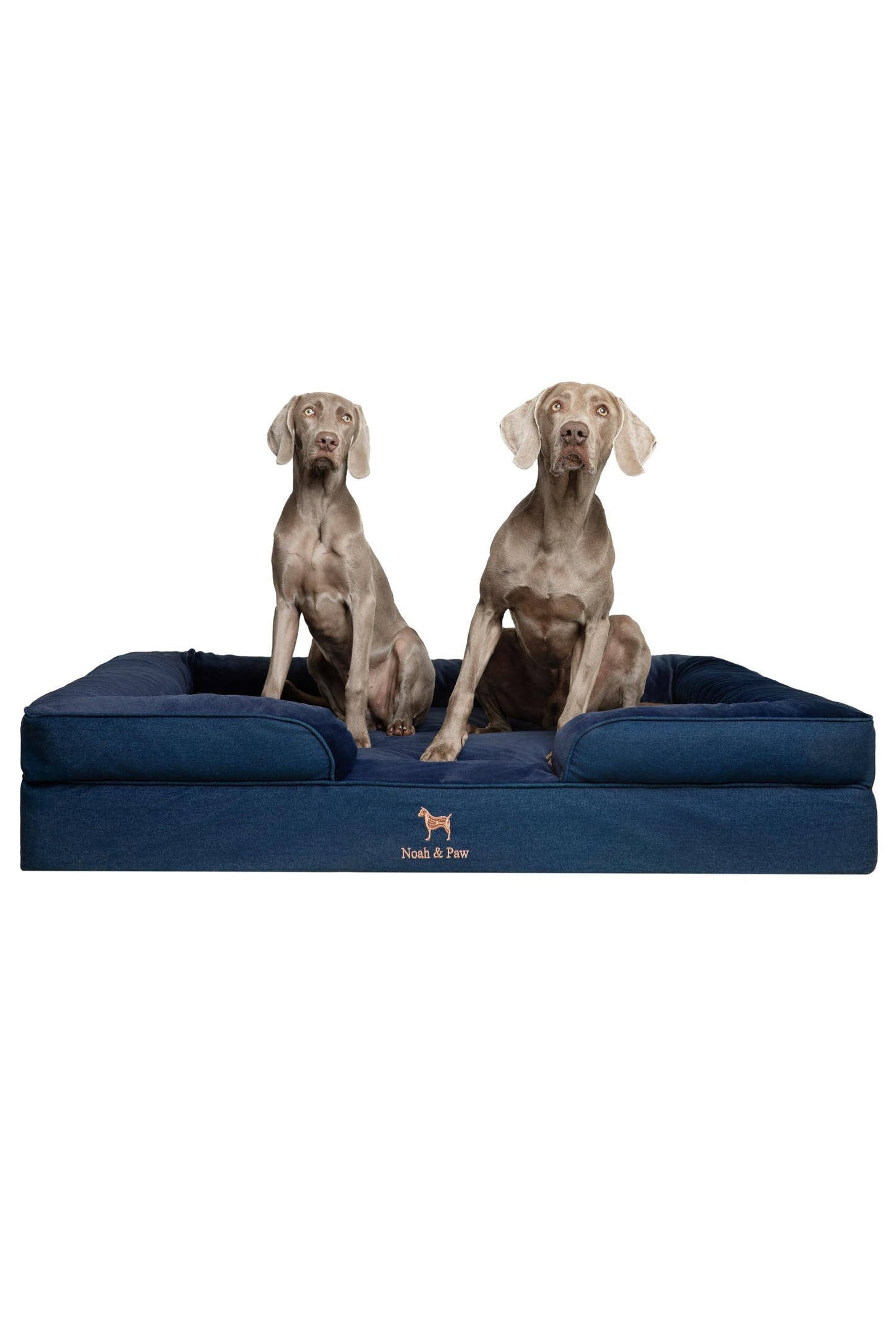 Orthopedic Memory Foam Dog Bed with Cooling Gel Washable