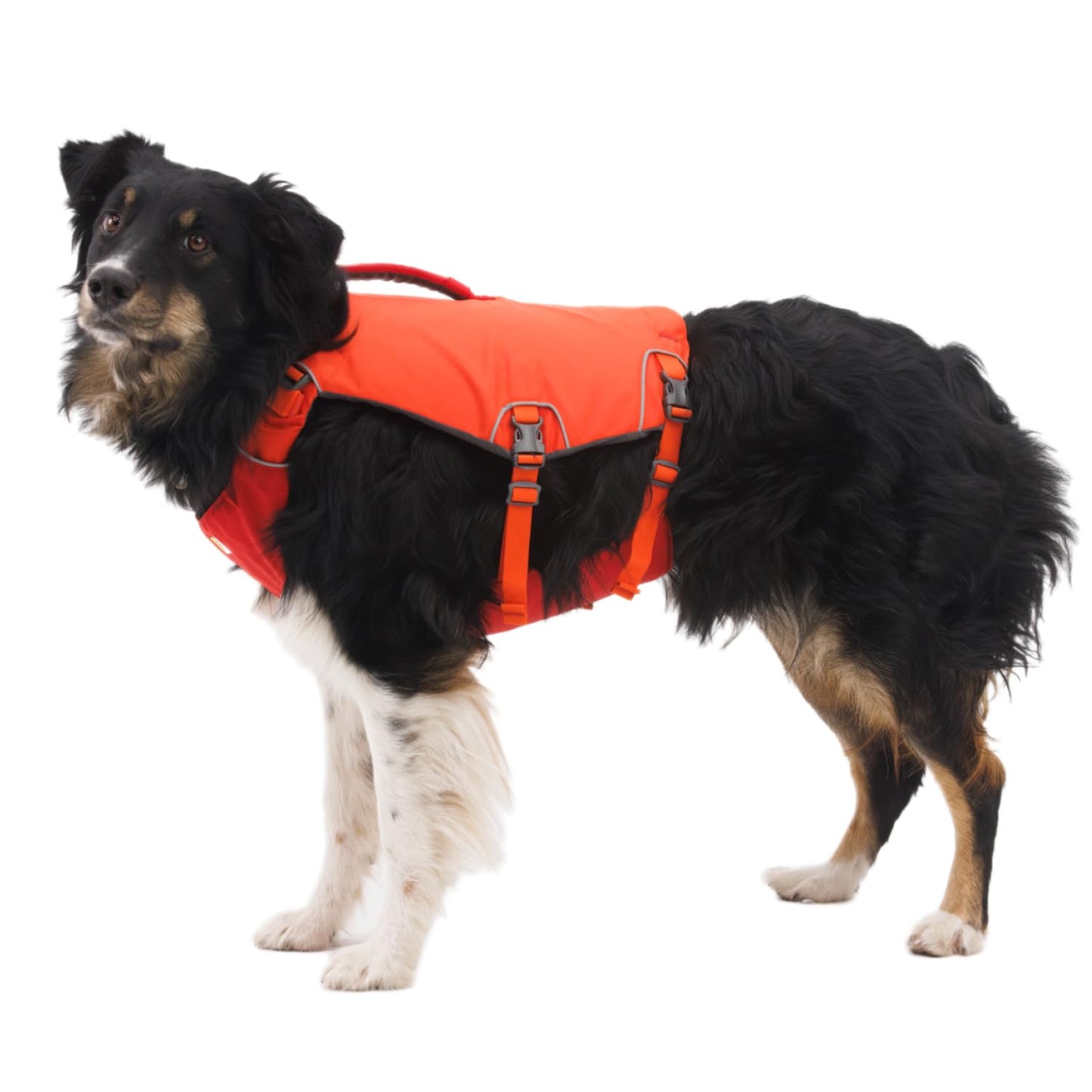 Dog Life Jacket Adjustable Safety Vest with Handles