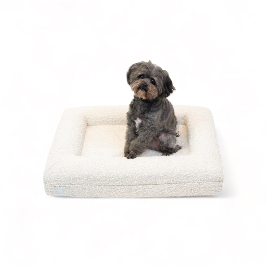 Orthopedic Memory Foam Dog Bed Boucle Washable Waterproof