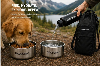 Insulated Stainless Steel Dog Water Bottle 32oz Travel