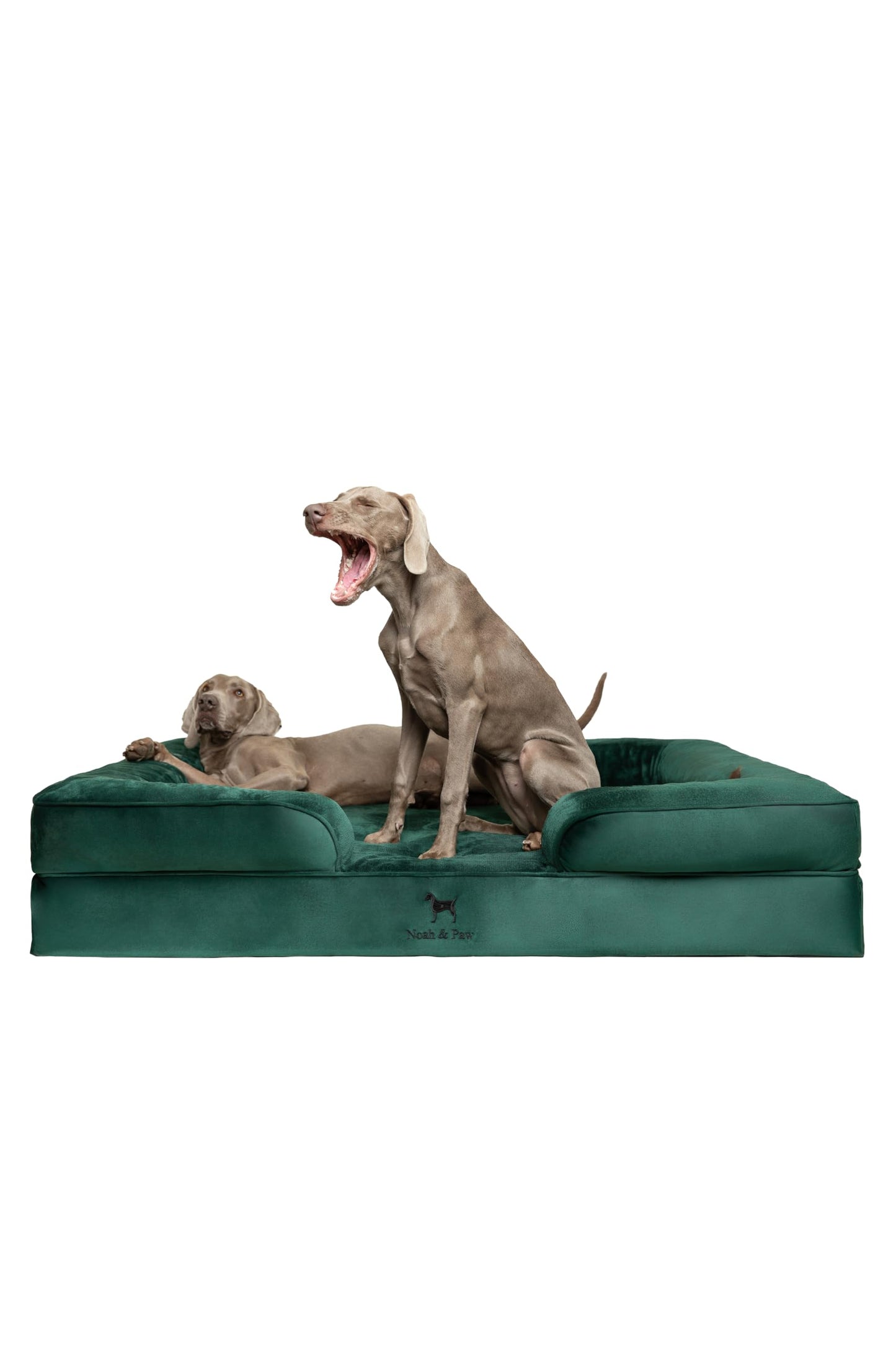 Orthopedic Memory Foam Dog Bed with Cooling Gel Washable
