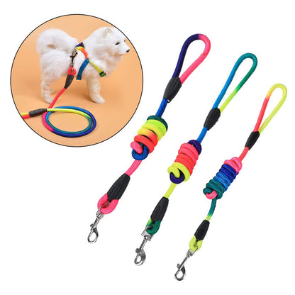 Rainbow Dog Training Leash Long Rope Outdoor