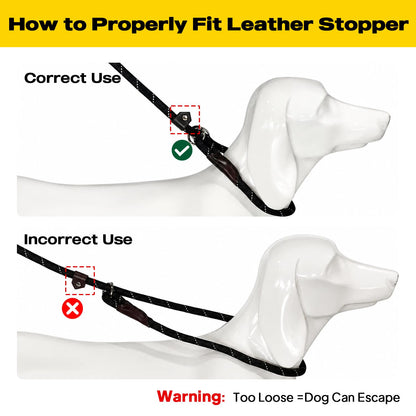 Reflective Slip Lead Dog Leash No Pull Training Rope