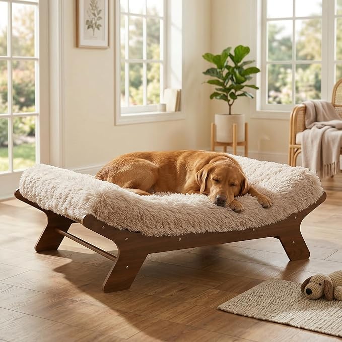 Thoughtful Corners for Cozy Companions.