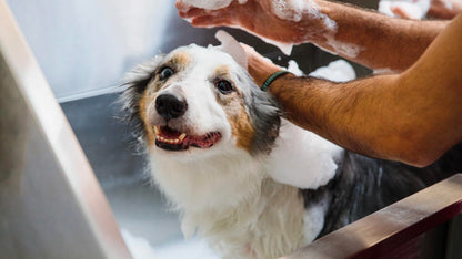 Baking Soda Pet Shampoo Fresh Cotton Odor Control