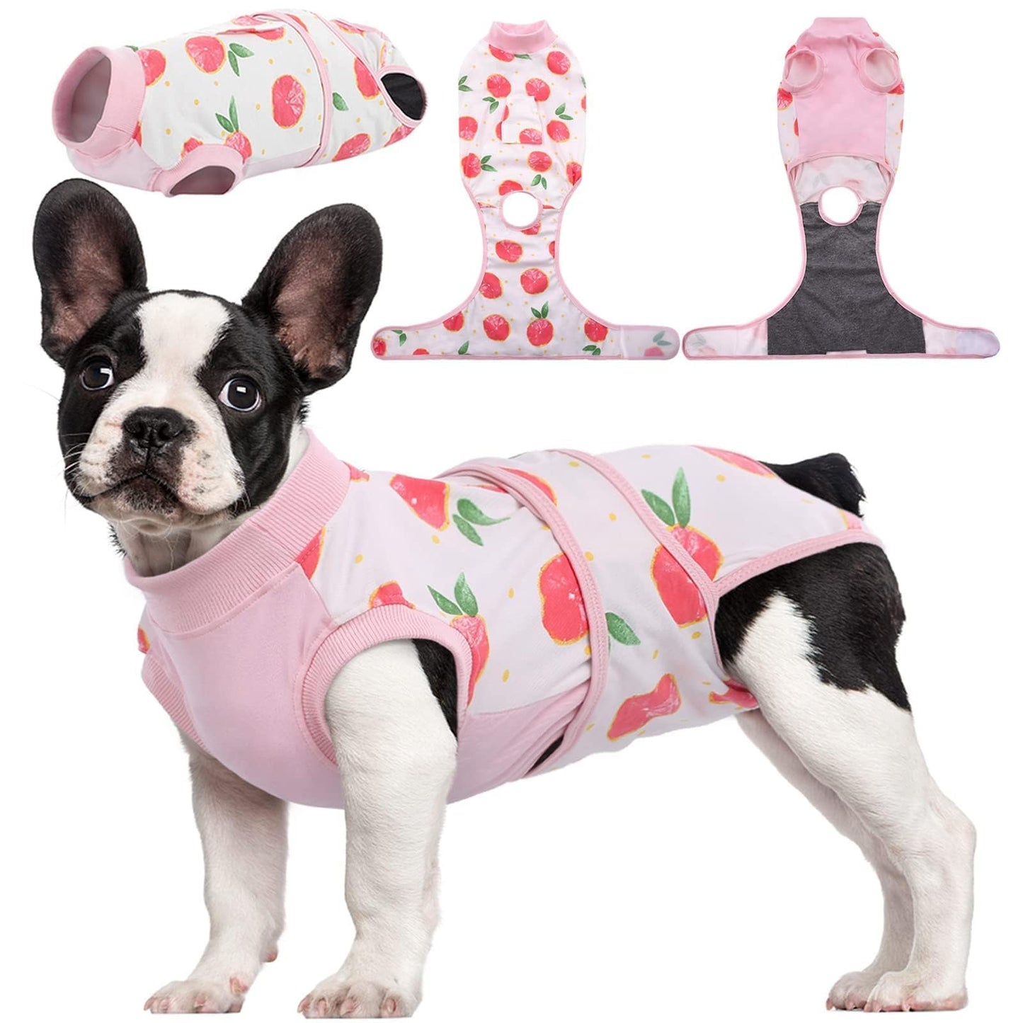 Dog Recovery Suit Post Surgery Anti Licking Onesie