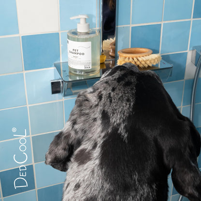 Pet Shampoo Gentle Clean Coat Care