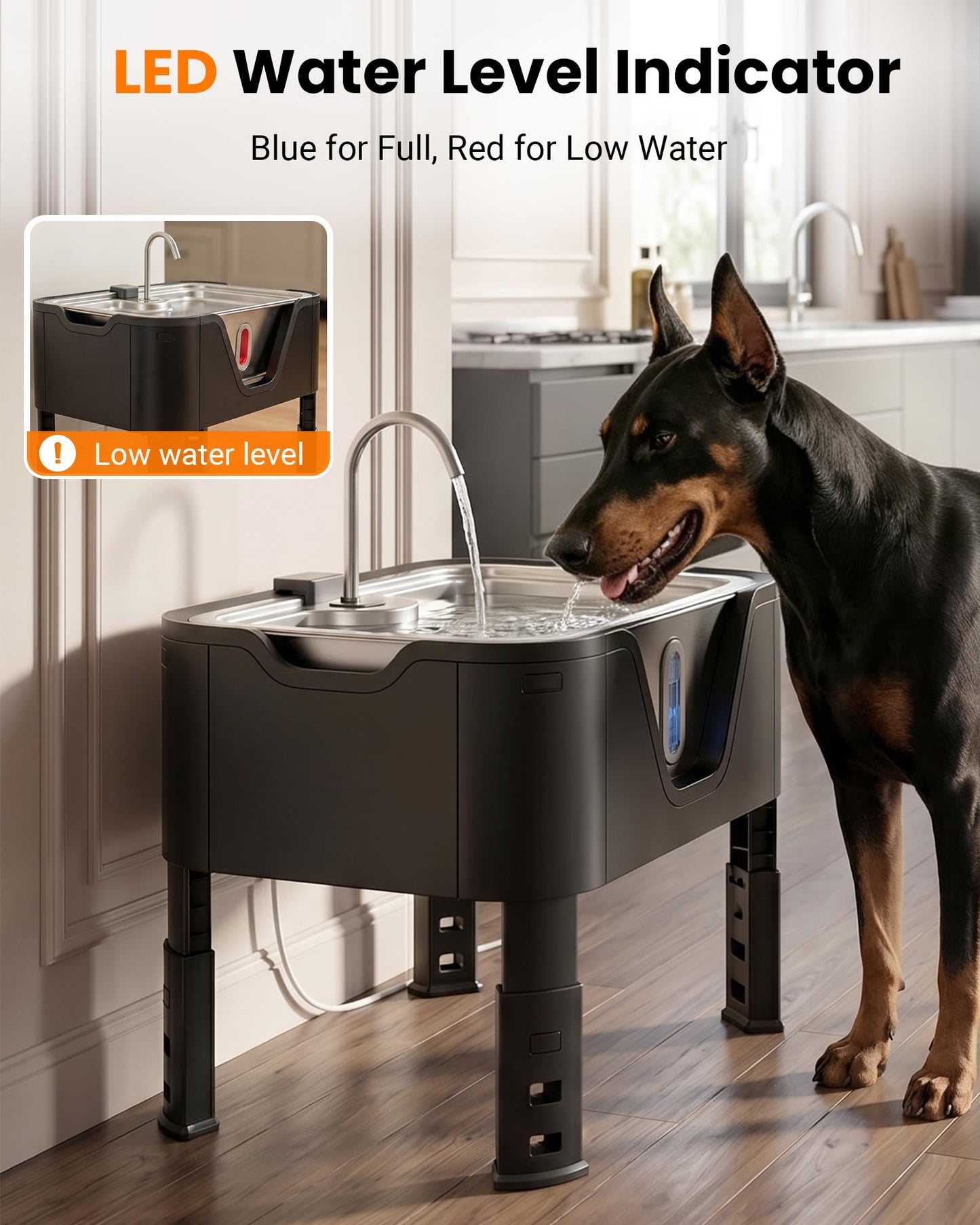 4.75Gal Elevated Large Dog Water Fountain