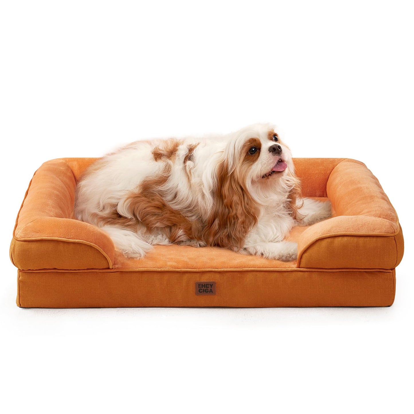 Orthopedic Memory Foam XL Dog Bed Waterproof Washable