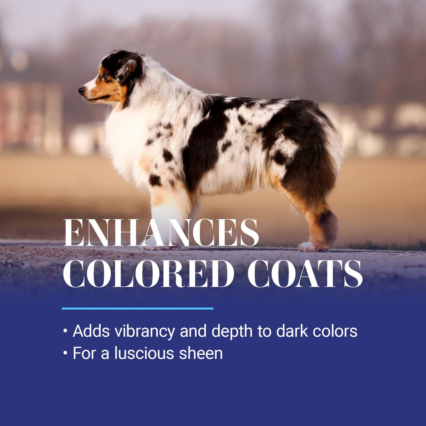 Chris Christensen White on White Whitening Treatment Dog Shampoo