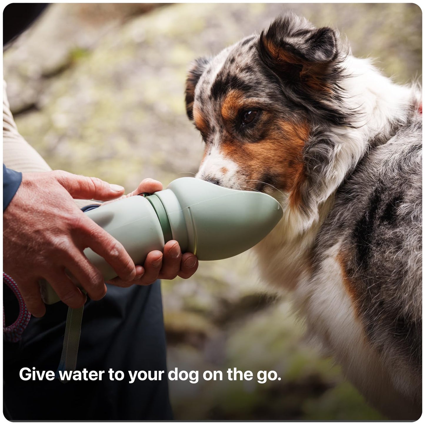 Portable Dog Water Bottle Travel Dispenser