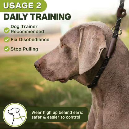 Reflective Slip Lead Dog Leash No Pull Training Rope