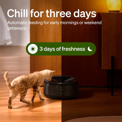 Refrigerated Automatic Wet Food Cat Feeder