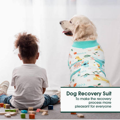 Dog Recovery Suit Post Surgery Anti Licking Onesie
