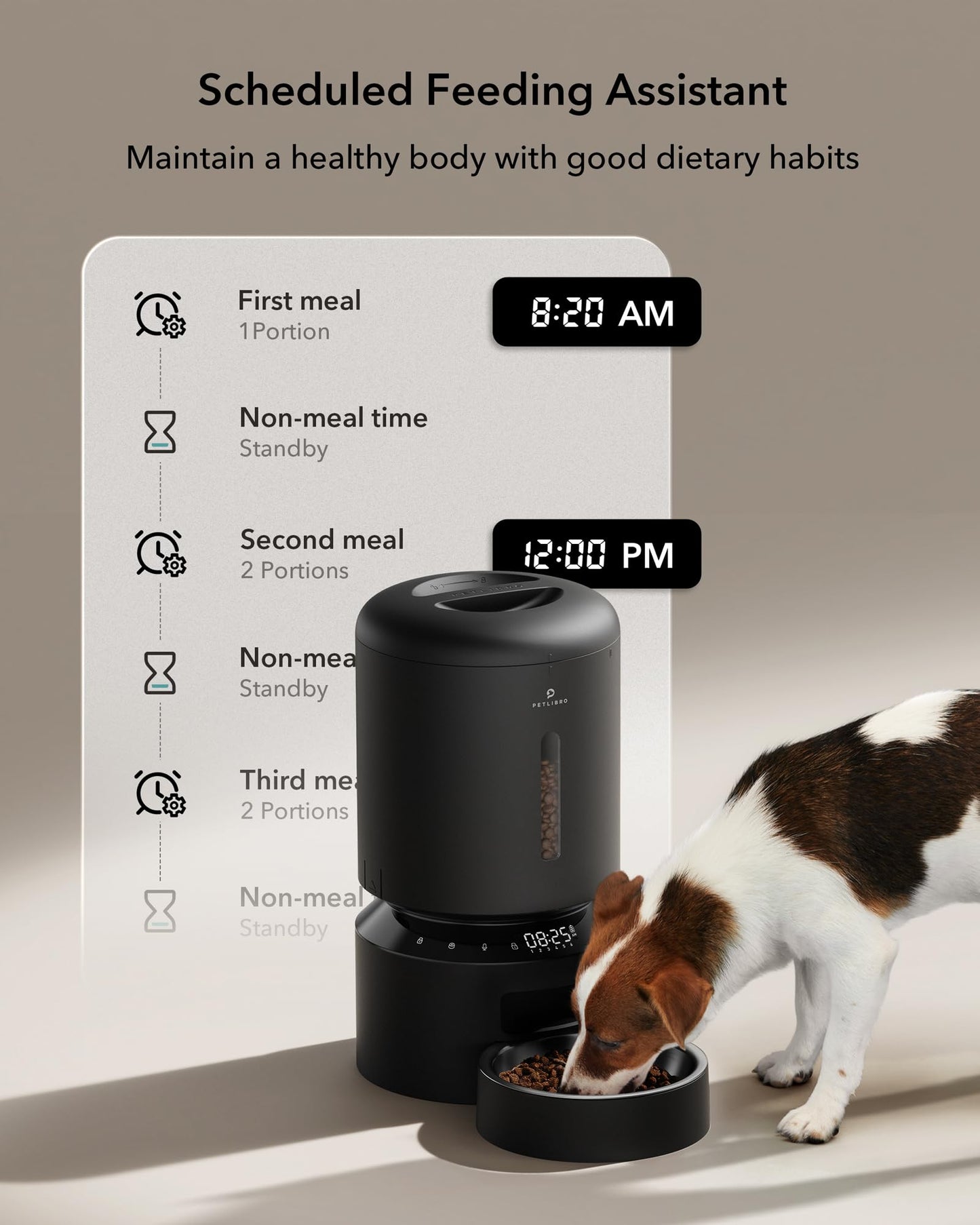 Automatic Cat Feeder for 2 Cats Dual Bowl