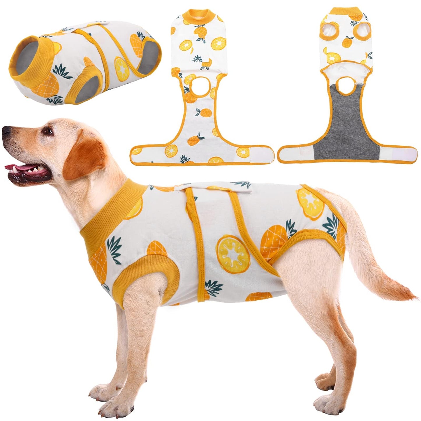 Dog Recovery Suit Post Surgery Anti Licking Onesie