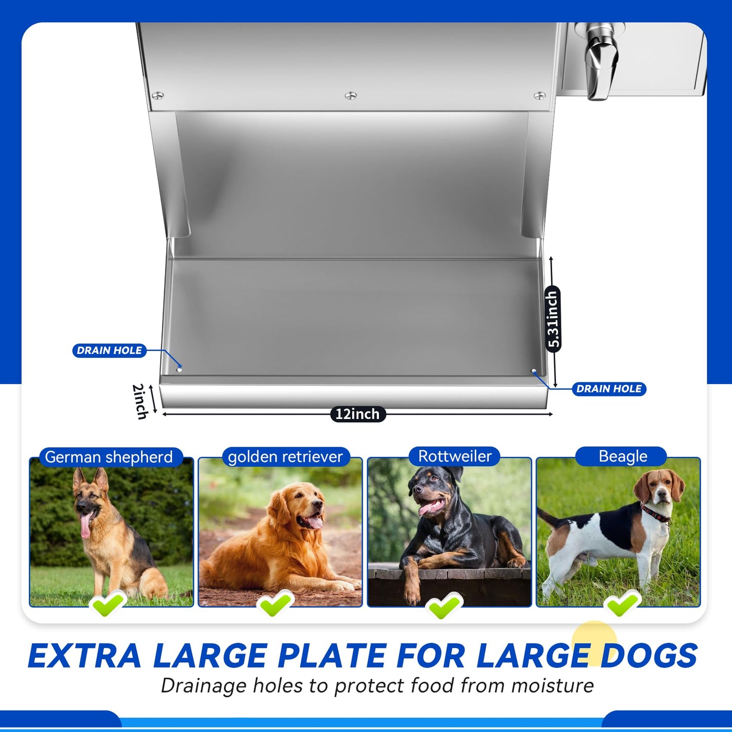 Extra Large Automatic Dog Feeder