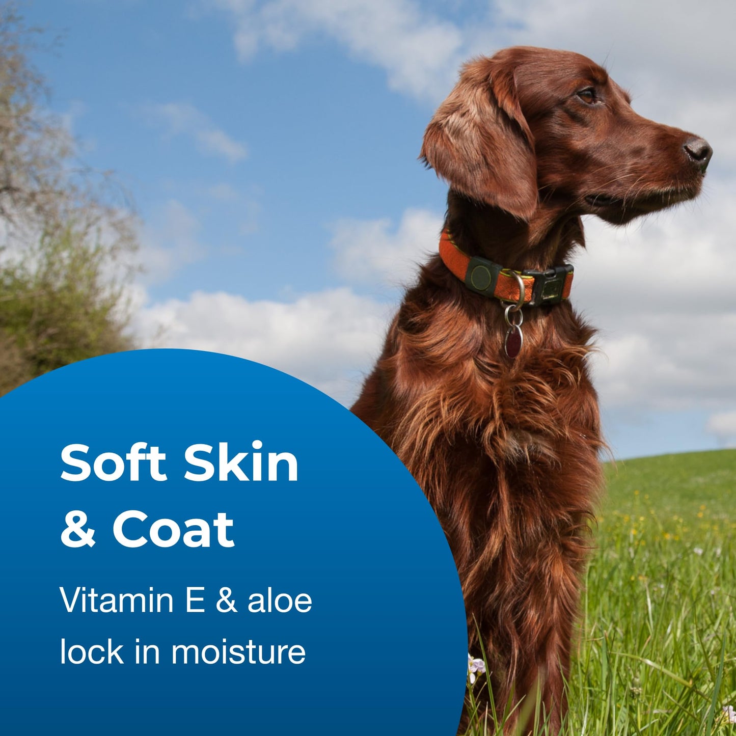 Scented Dog Shampoo Classic Fresh Shine Coat