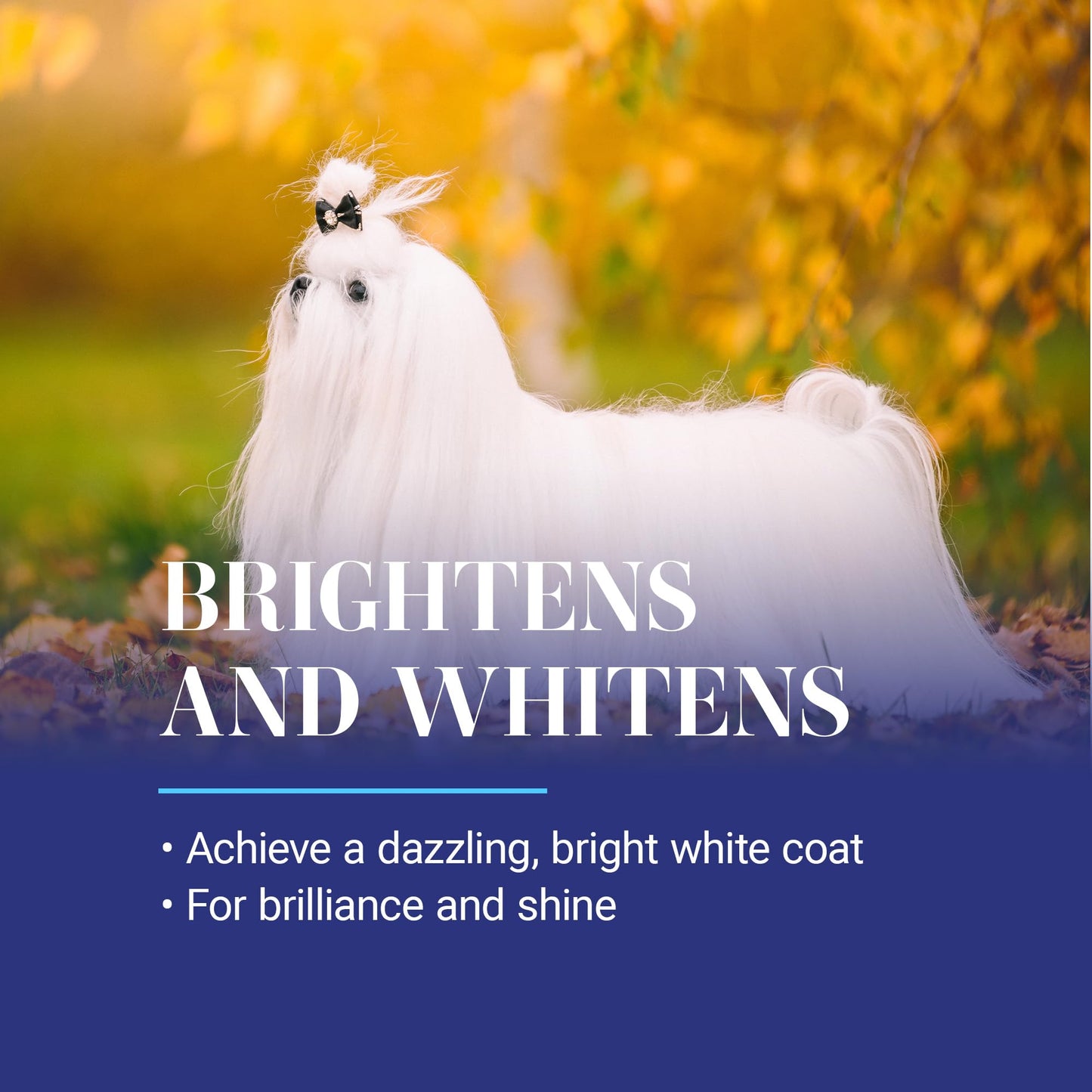 Chris Christensen White on White Whitening Treatment Dog Shampoo