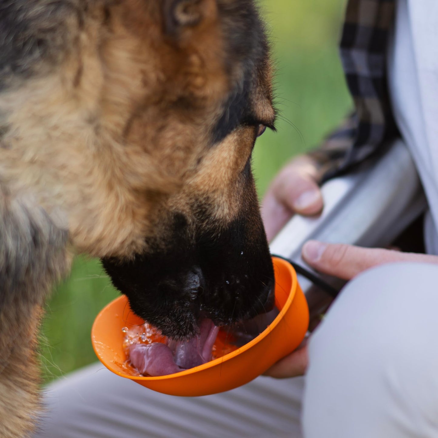 Insulated Stainless Steel Dog Water Bottle with Flip Bowl