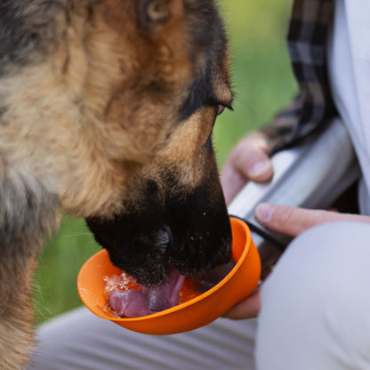 Insulated Stainless Steel Dog Water Bottle with Flip Bowl