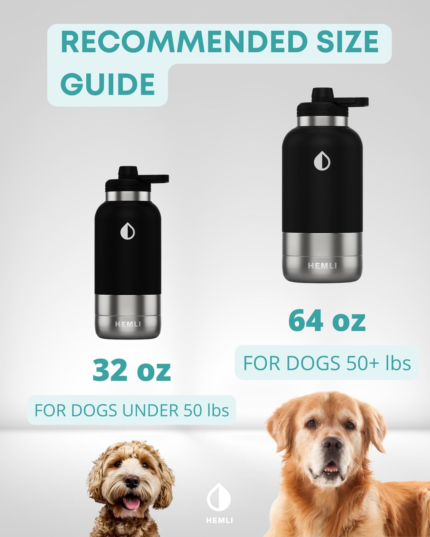 Stainless Steel Dog Travel Water Bottle Bowl Set Portable