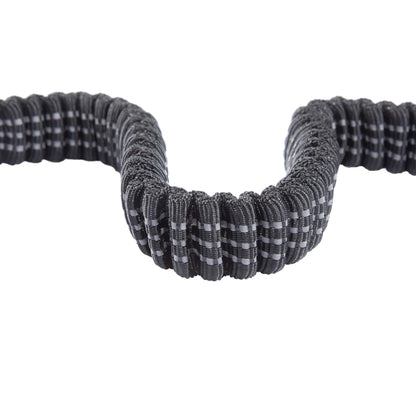 Shock Absorbing Reflective Nylon Dog Leash