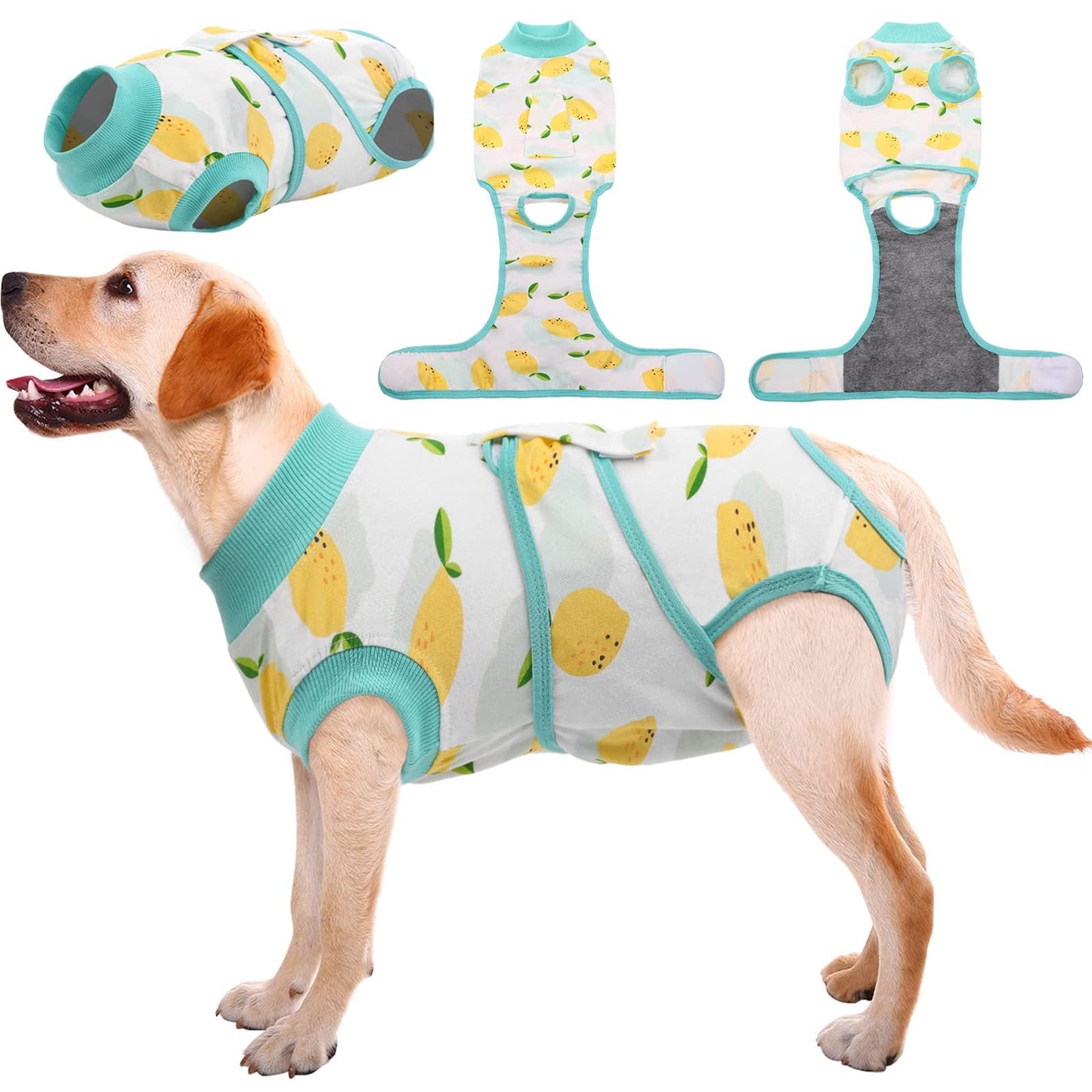 Dog Recovery Suit Post Surgery Anti Licking Onesie