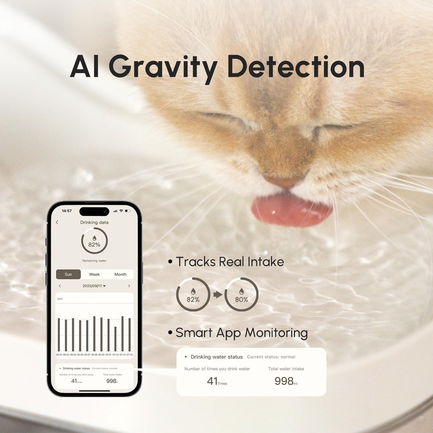 Wireless Weight-Sensing Pet Water Fountain