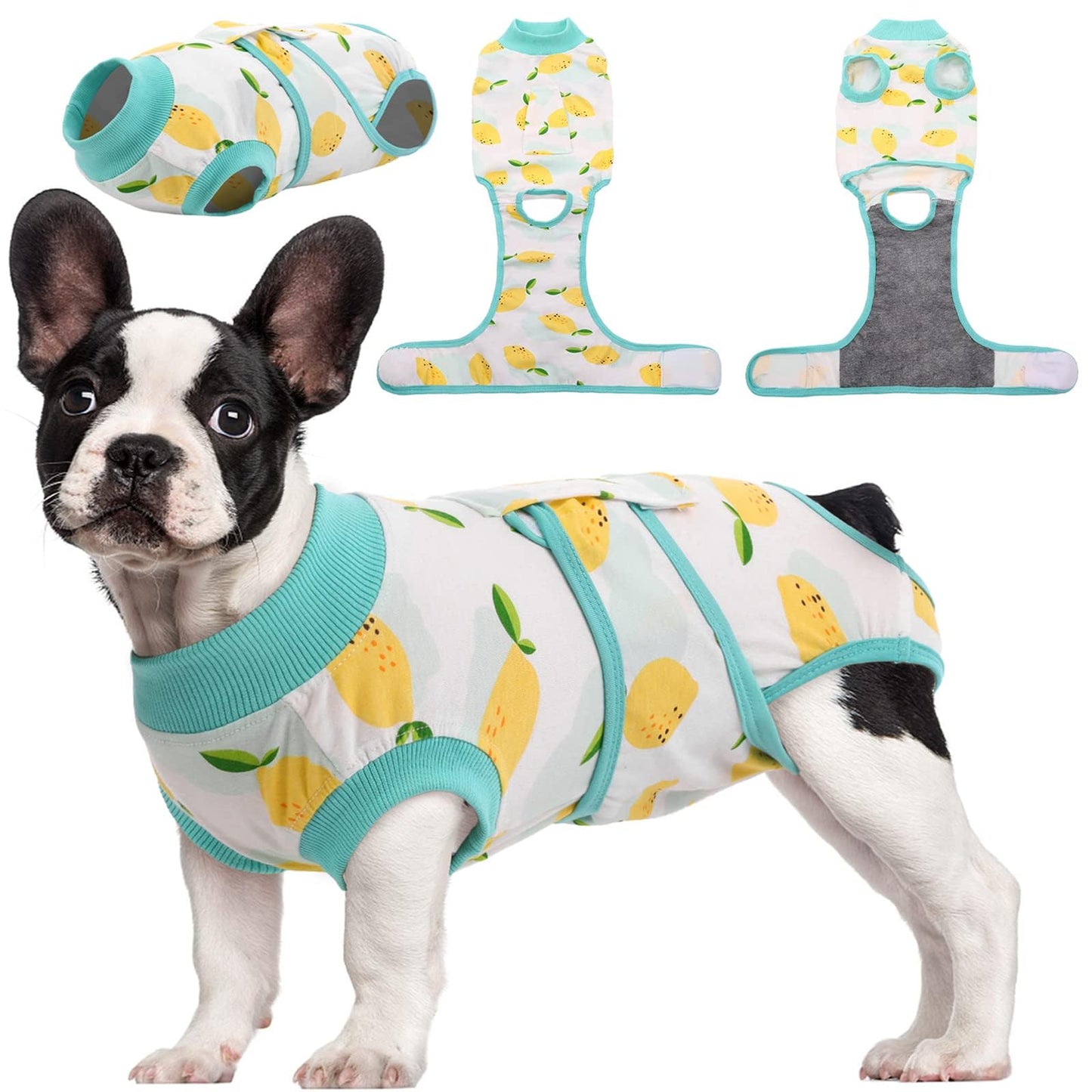 Dog Recovery Suit Post Surgery Anti Licking Onesie