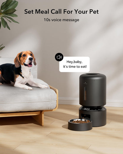 Automatic Cat Feeder for 2 Cats Dual Bowl