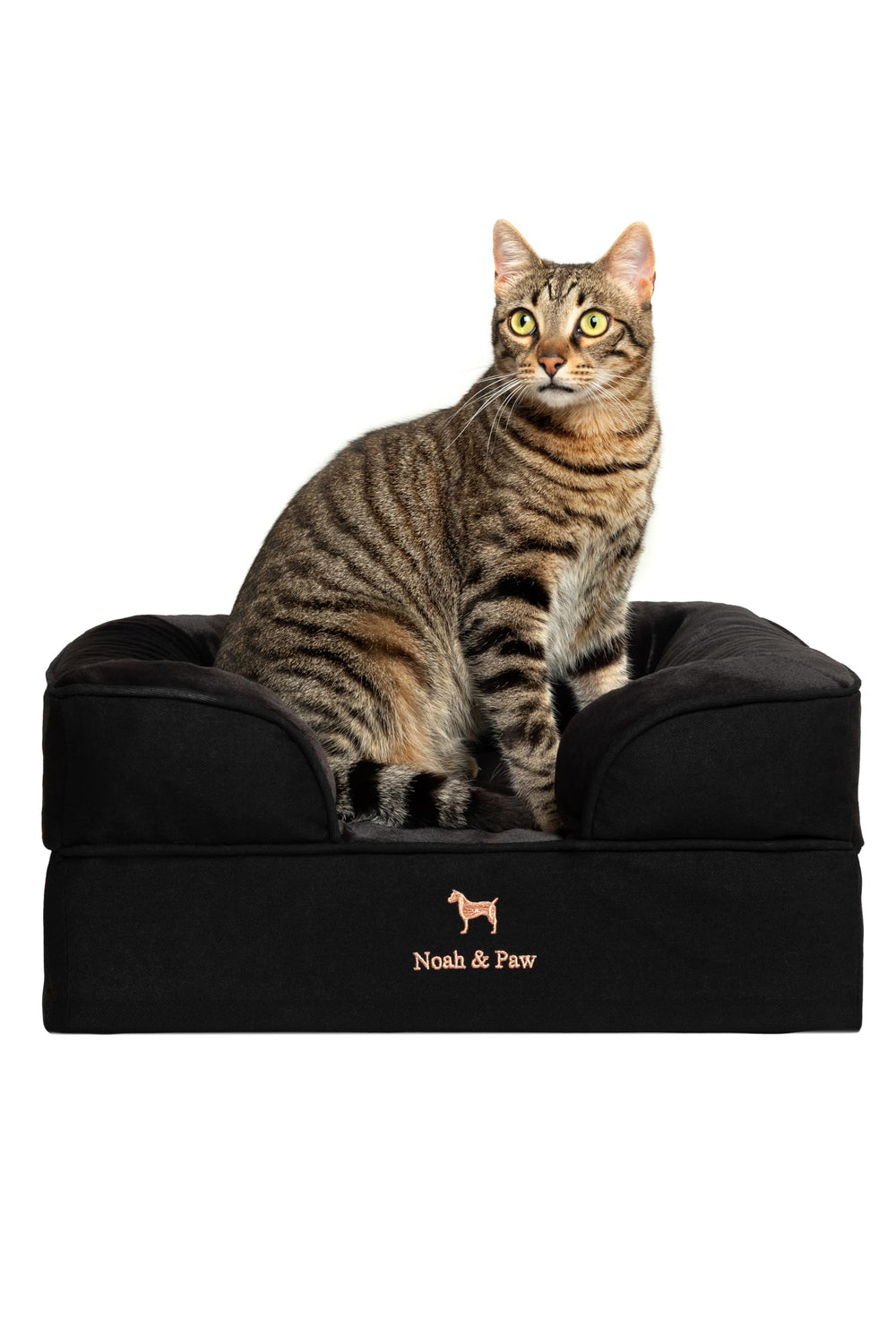 Orthopedic Memory Foam Dog Bed with Cooling Gel Washable