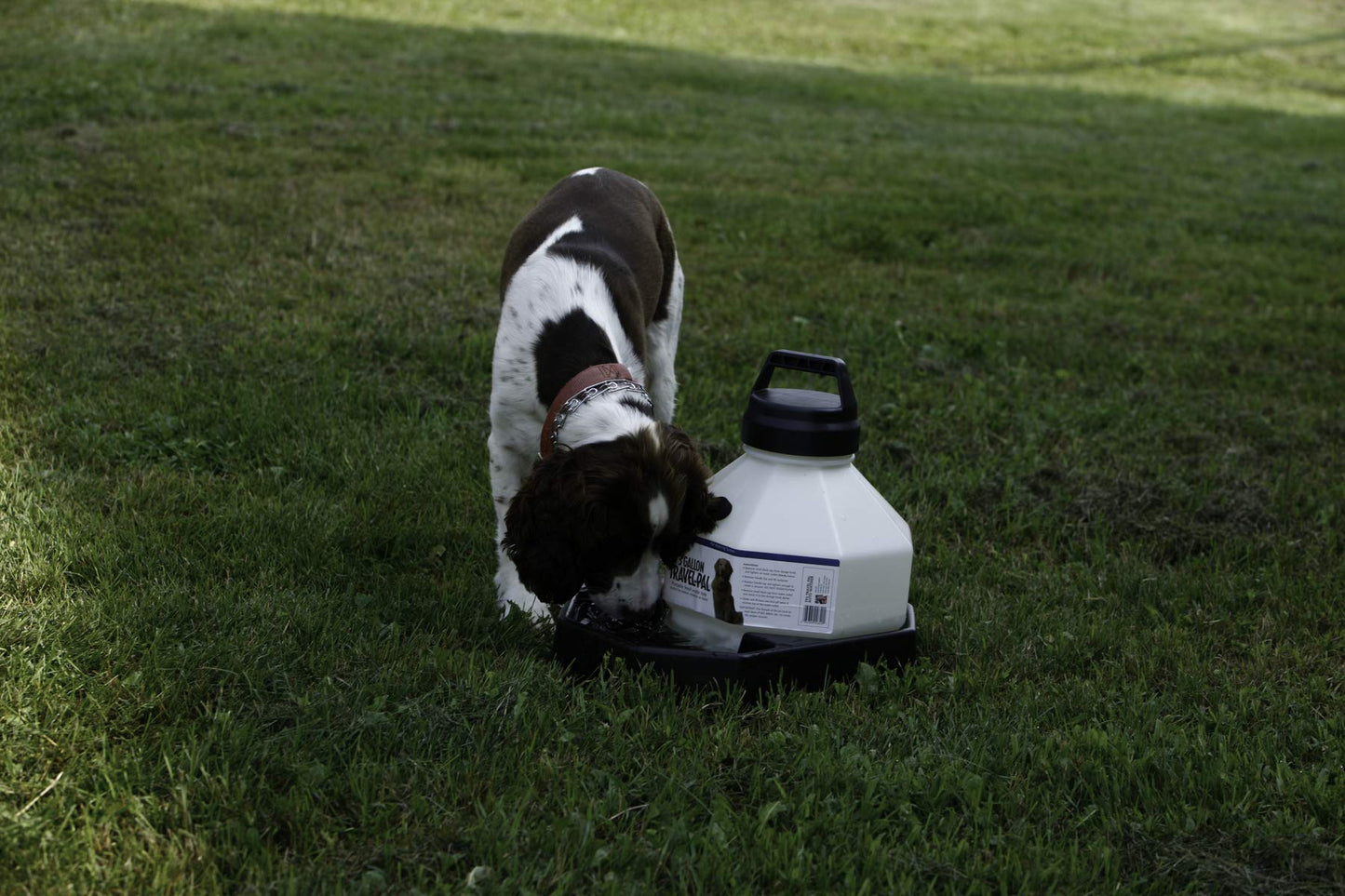 3 Gallon Travel Dog Waterer Portable Pet Dispenser